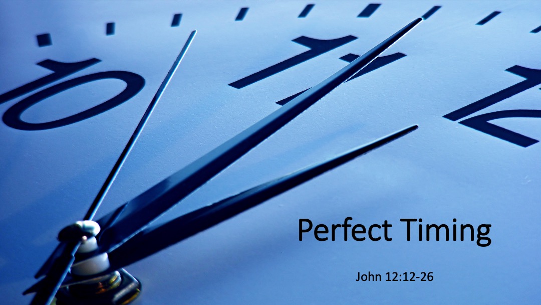 The Gospel of John- Perfect Timing