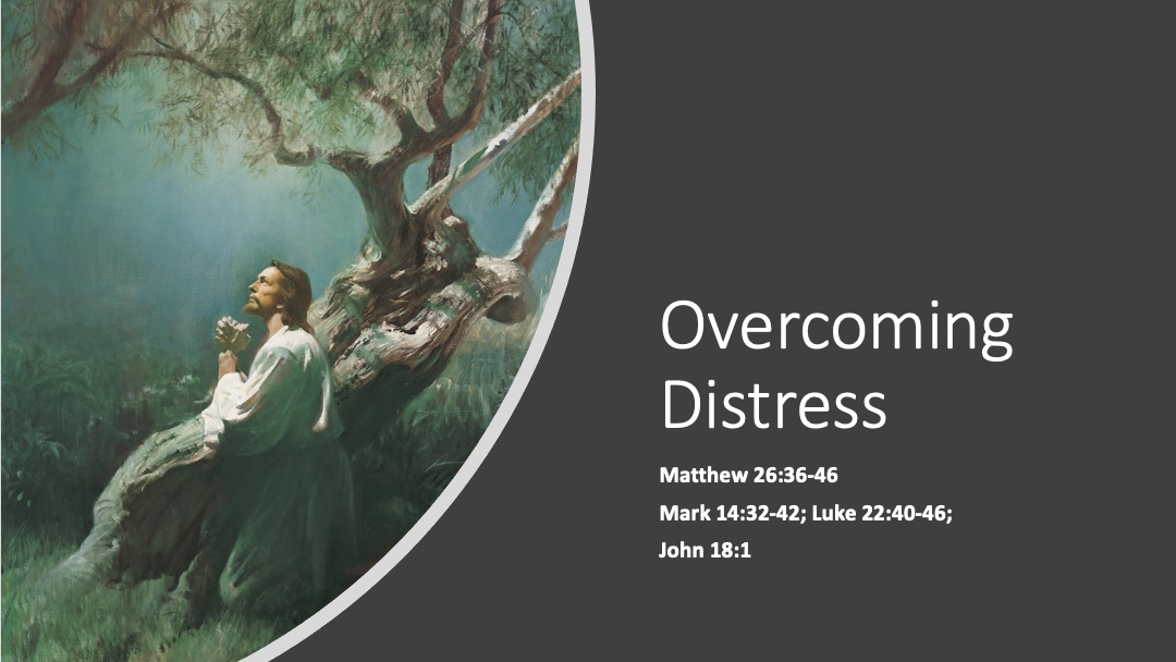Gospel of John- Overcoming Distress